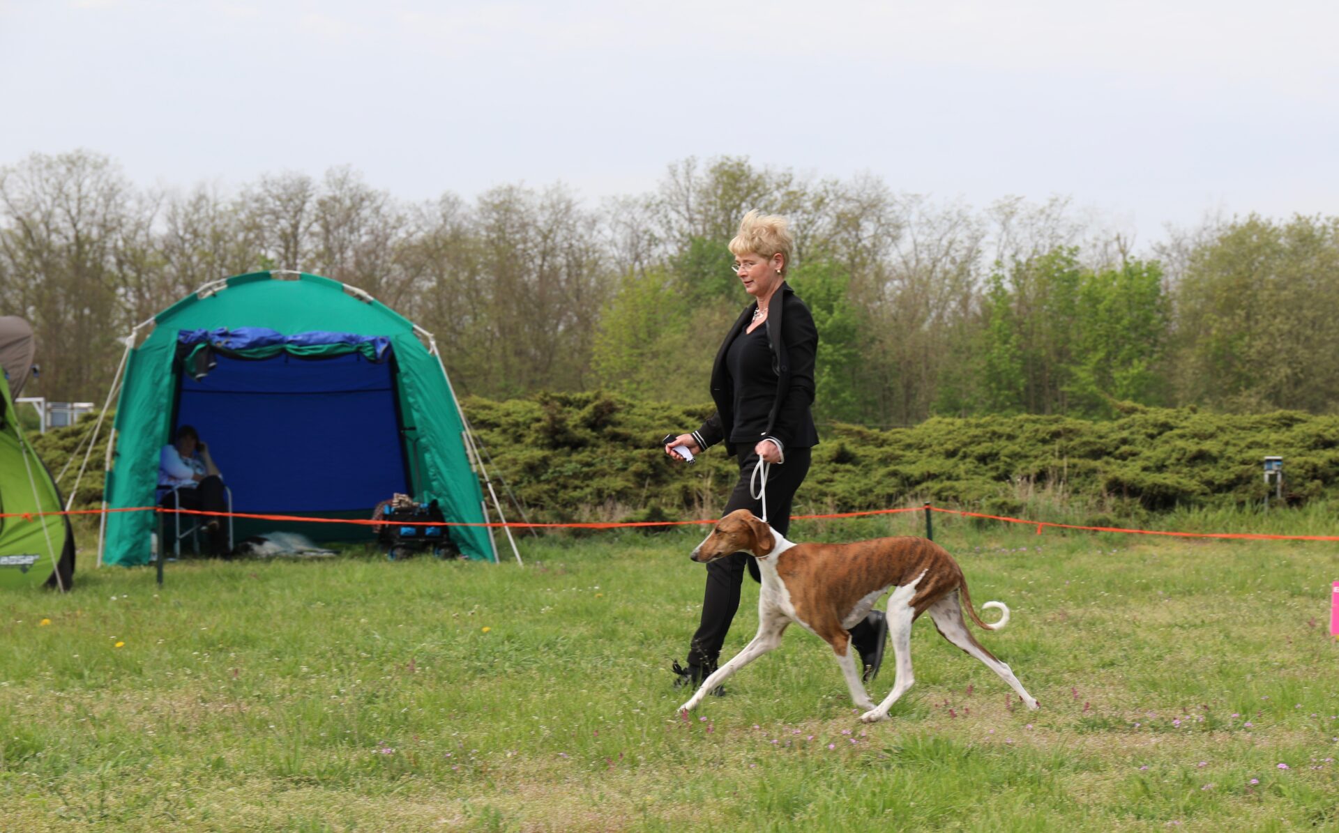 Fee Lauf im Ring © C. Thier-Rostaing