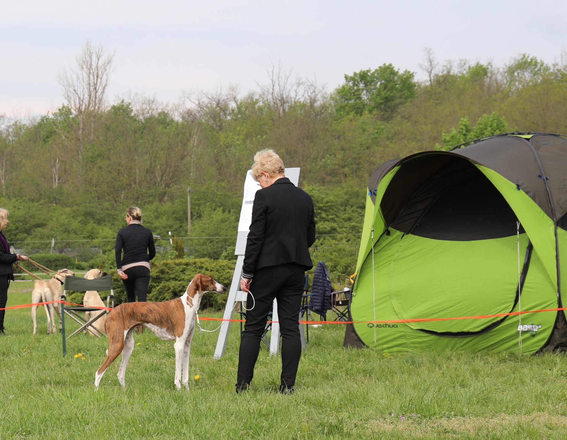 Fee Stand rechte Seite © C. Thier-Rostaing