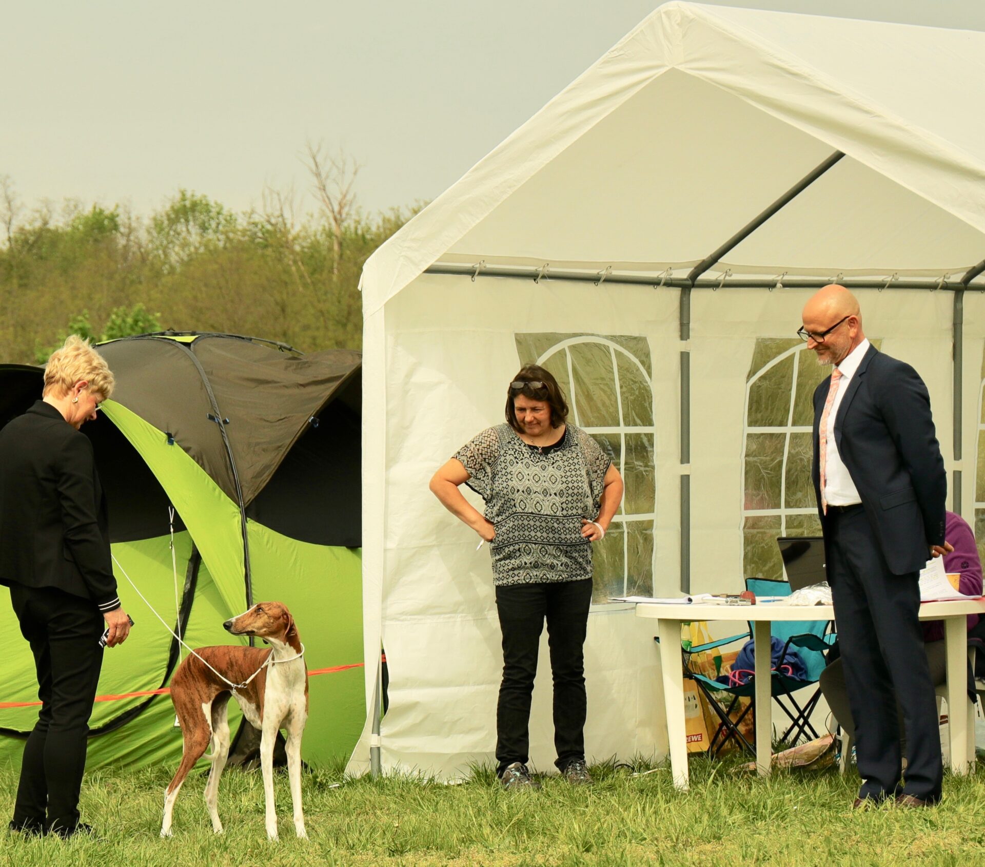 Fee Strack © C. Thier-Rostaing