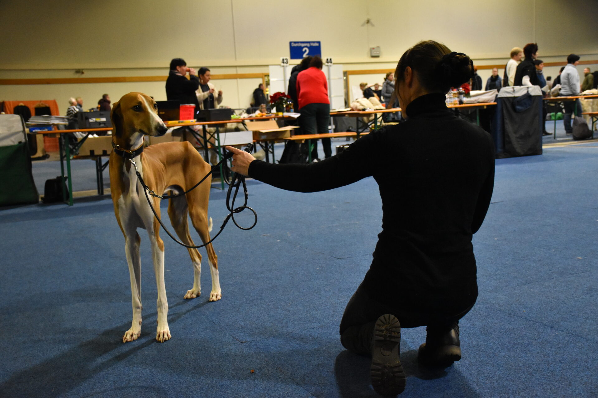Cayyat Ehen-n-ma Carola Ausstellung