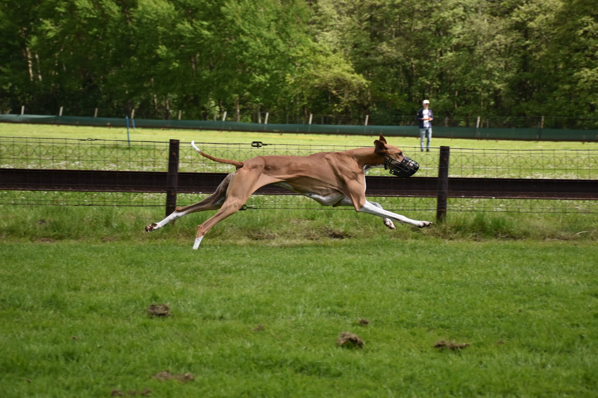 Cayyat Ehen-n-ma Rennbahn 3