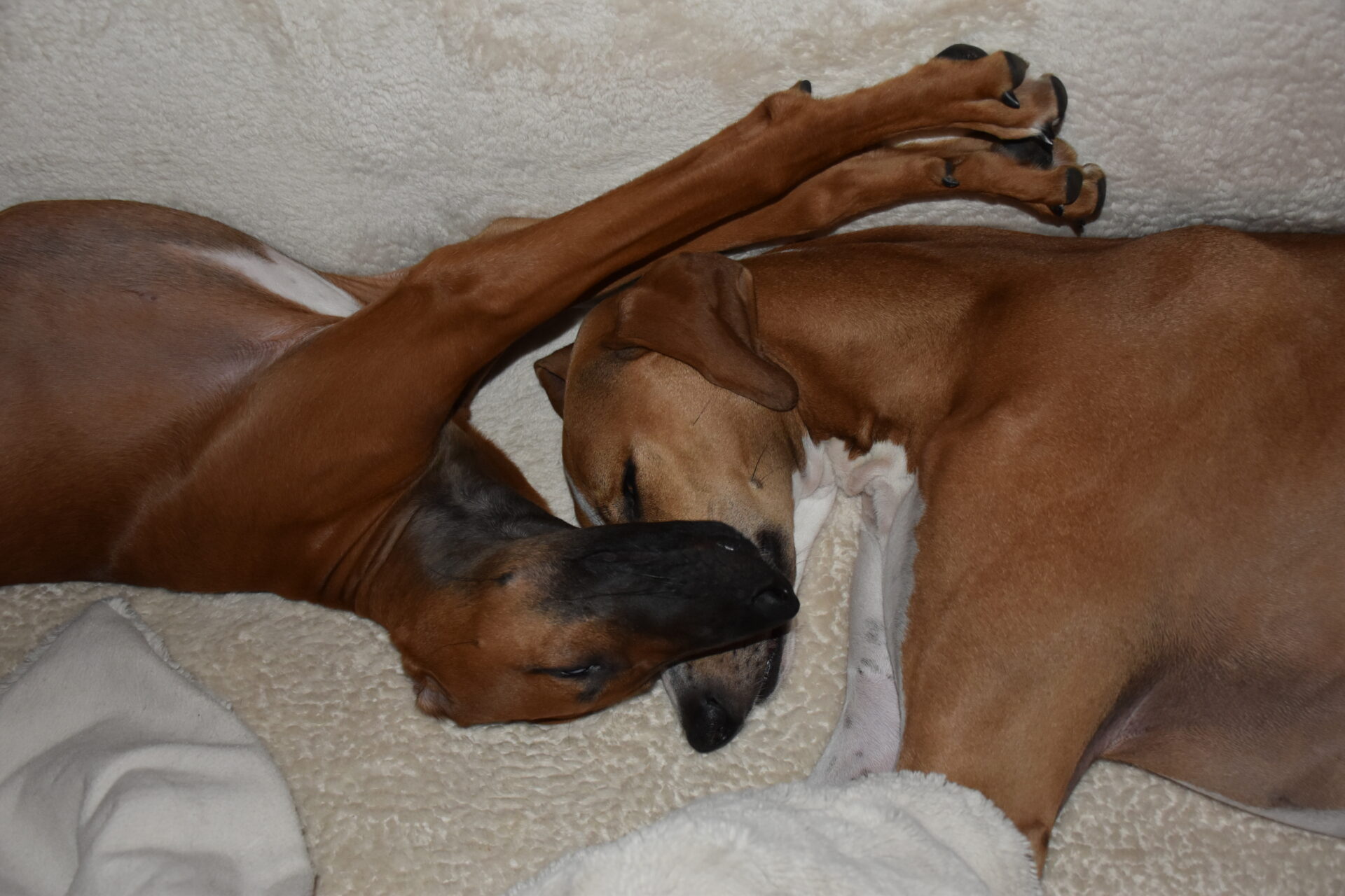 Cayyat Sherifa schlafend Beine