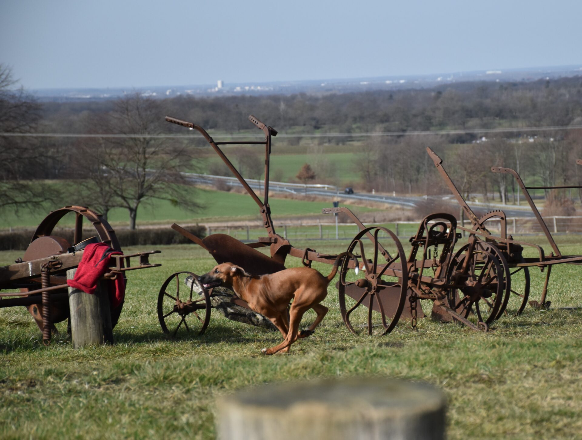 D’Sherifa Ehen-n-ma Mühle