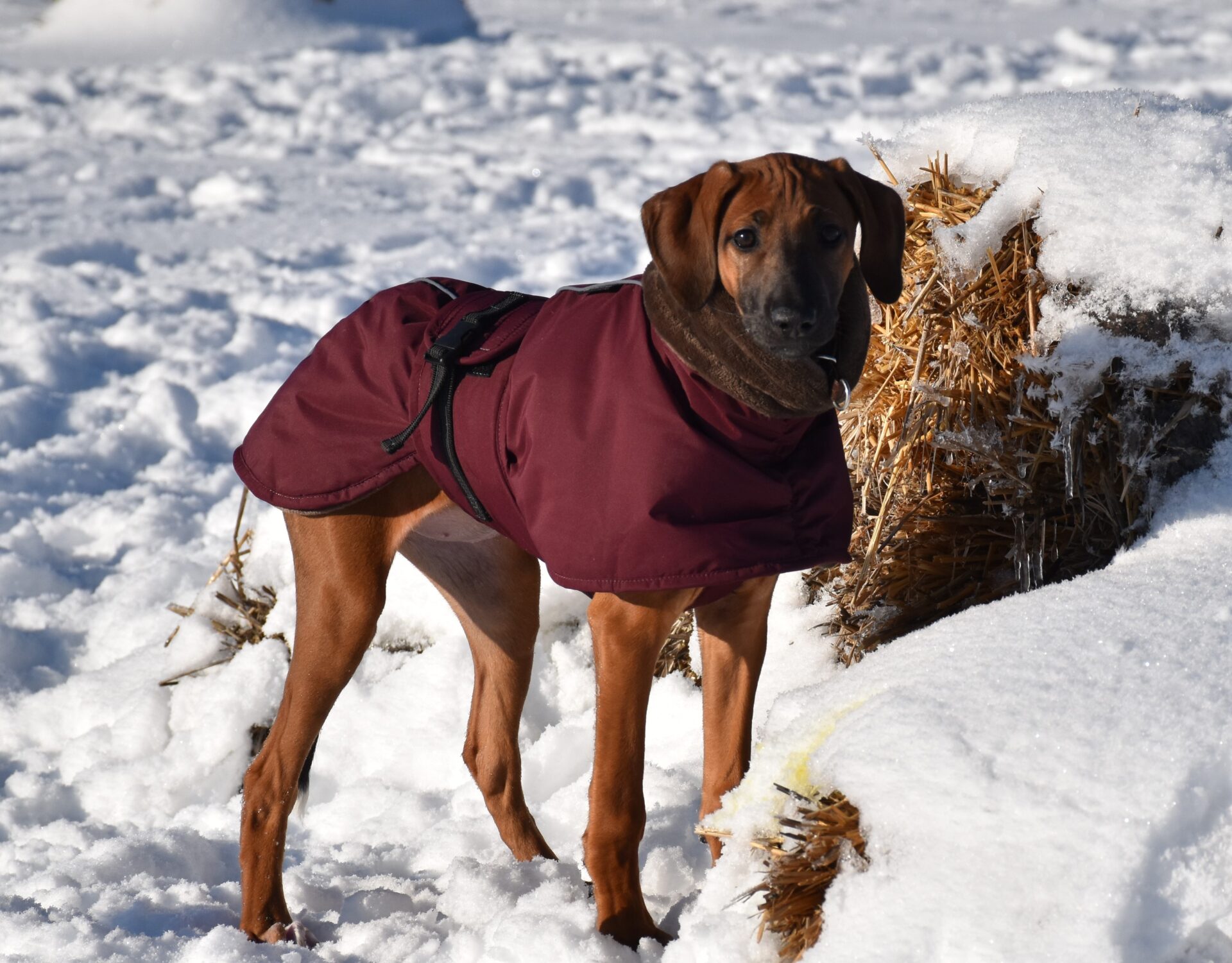 D’Sherifa Ehen-n-ma Schnee 3