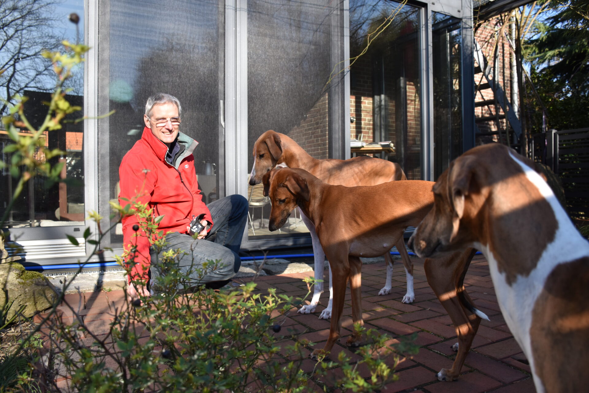 Wolf alle drei Terrasse
