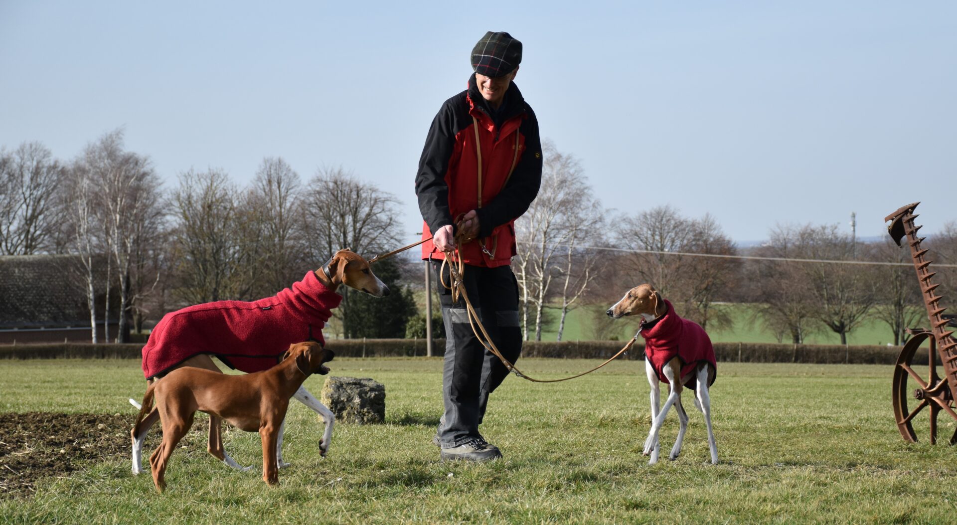 Wolf und die drei Mühle